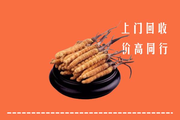 收购行情：重庆万州区回收散虫草