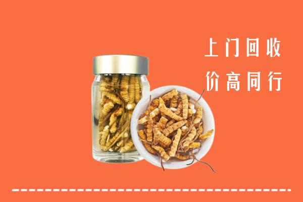 附近收购：重庆万州区回收冬虫夏草